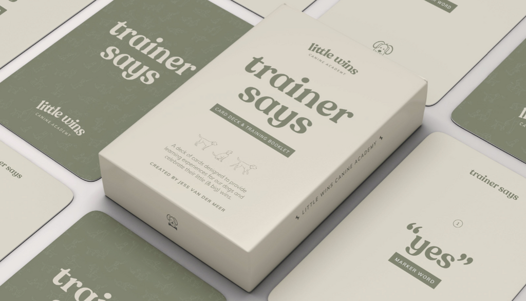 Trainer Says!